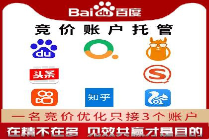 深入剖析SEM公司成功案例：数据驱动的广告策略
